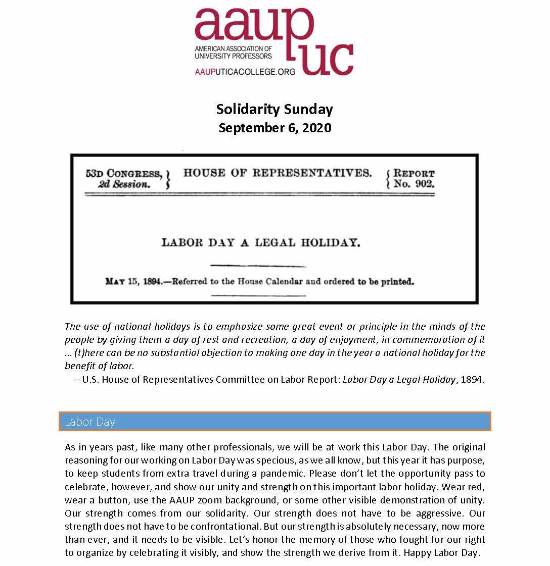 Solidarity Sunday 200906_Page_1