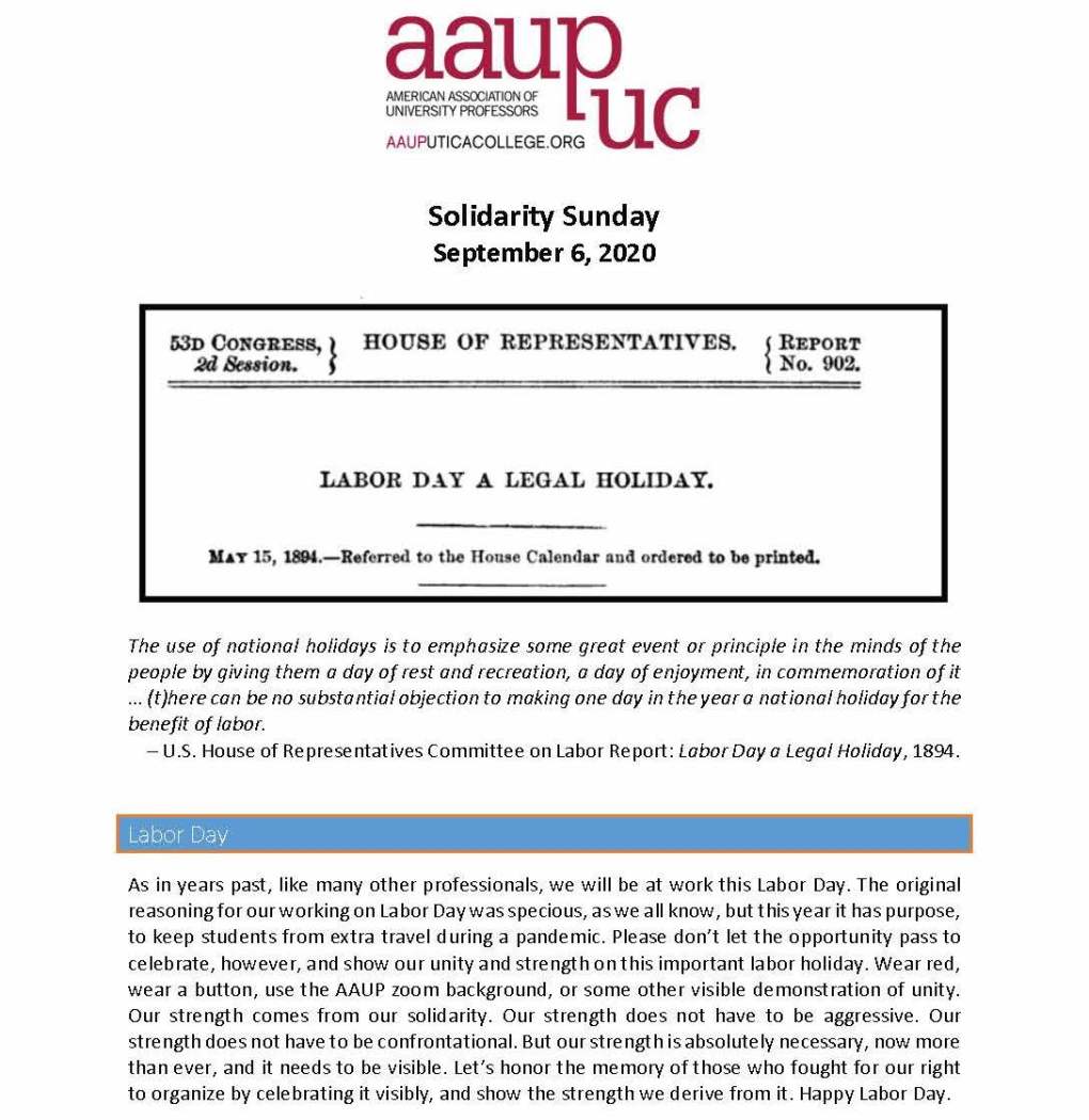 Solidarity Sunday 200906_Page_1